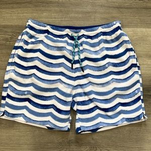 Men’s Chubbies Shorts